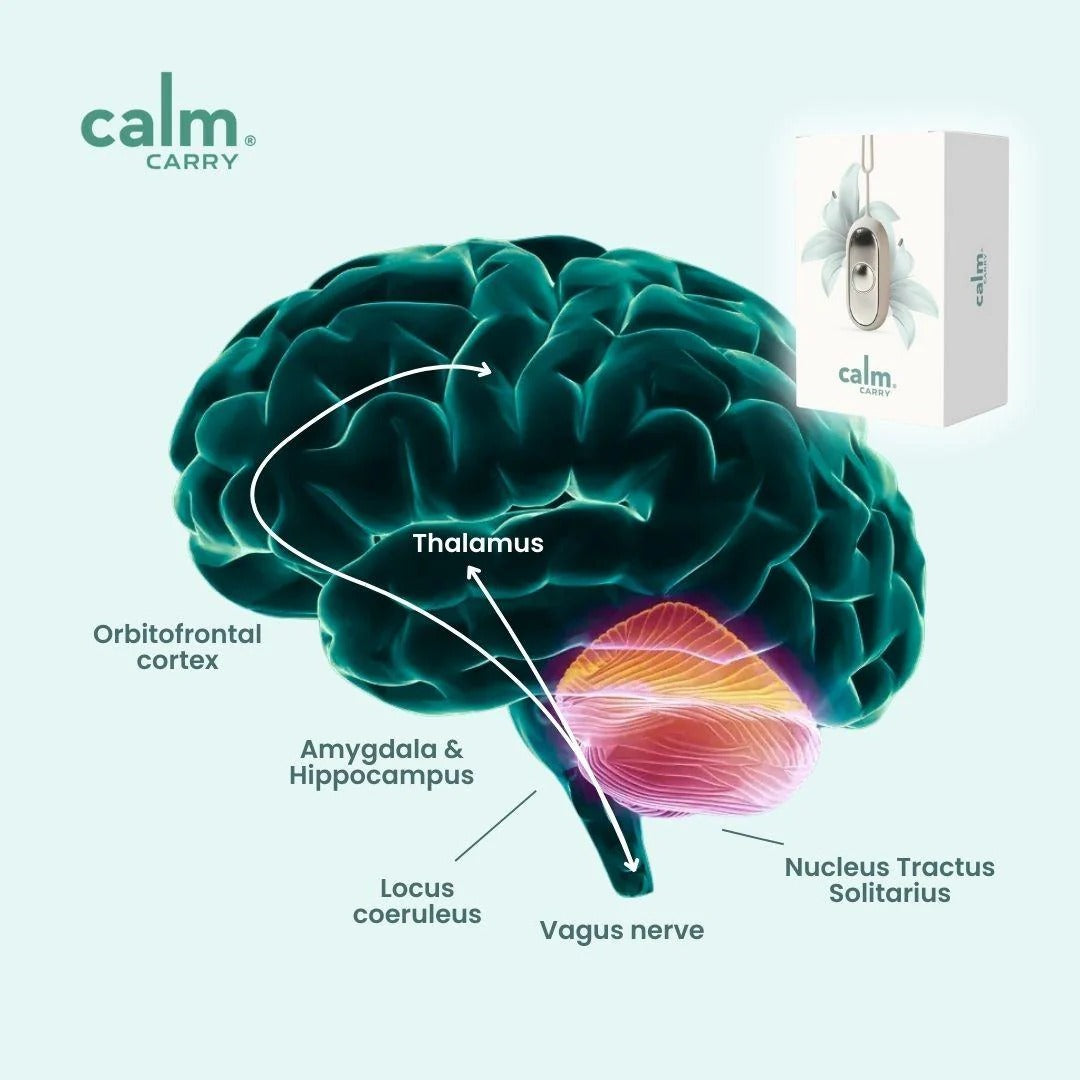 CalmCarry® – Tu Mini Aliado En La Palma Para Dormir Y Relajarte Al Instante