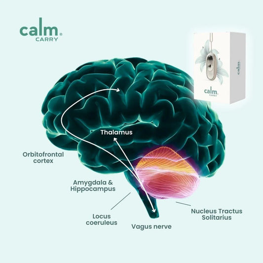 CalmCarry® – Tu Mini Aliado En La Palma Para Dormir Y Relajarte Al Instante